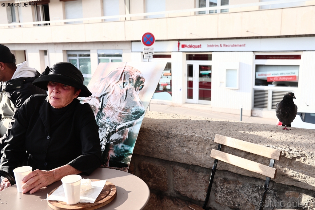 Vous avez atteint la dernire diapositive